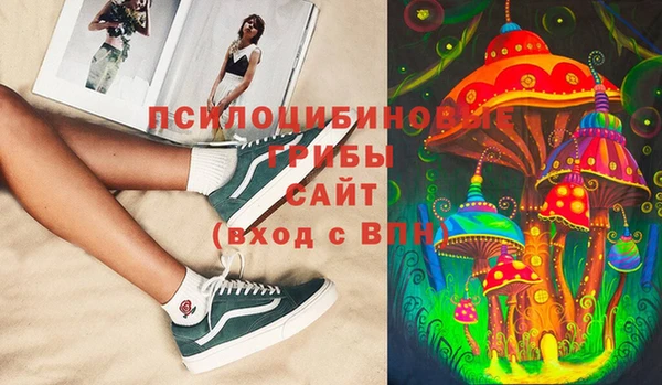 мескалин Лабытнанги