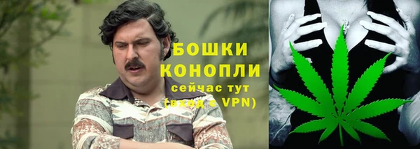 меф Ладушкин